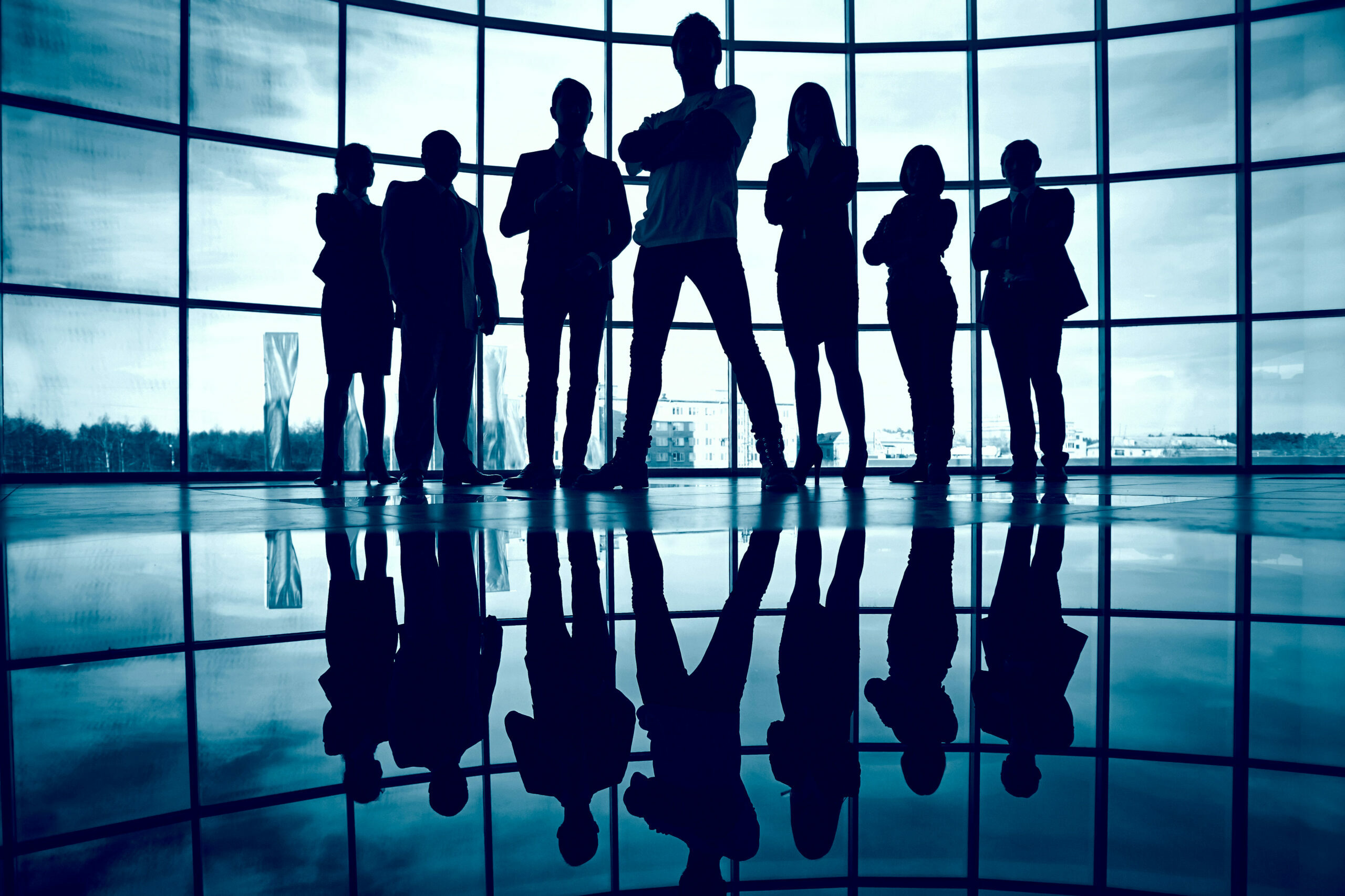 silhouette-of-confident-businesspeople
