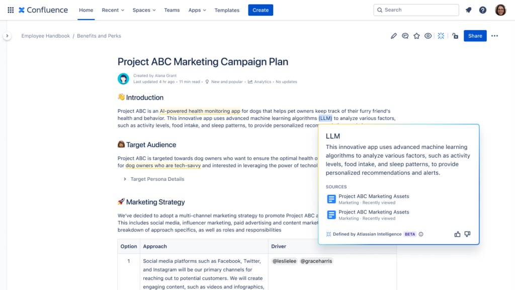 screenshot_AI-confluence-define-terms